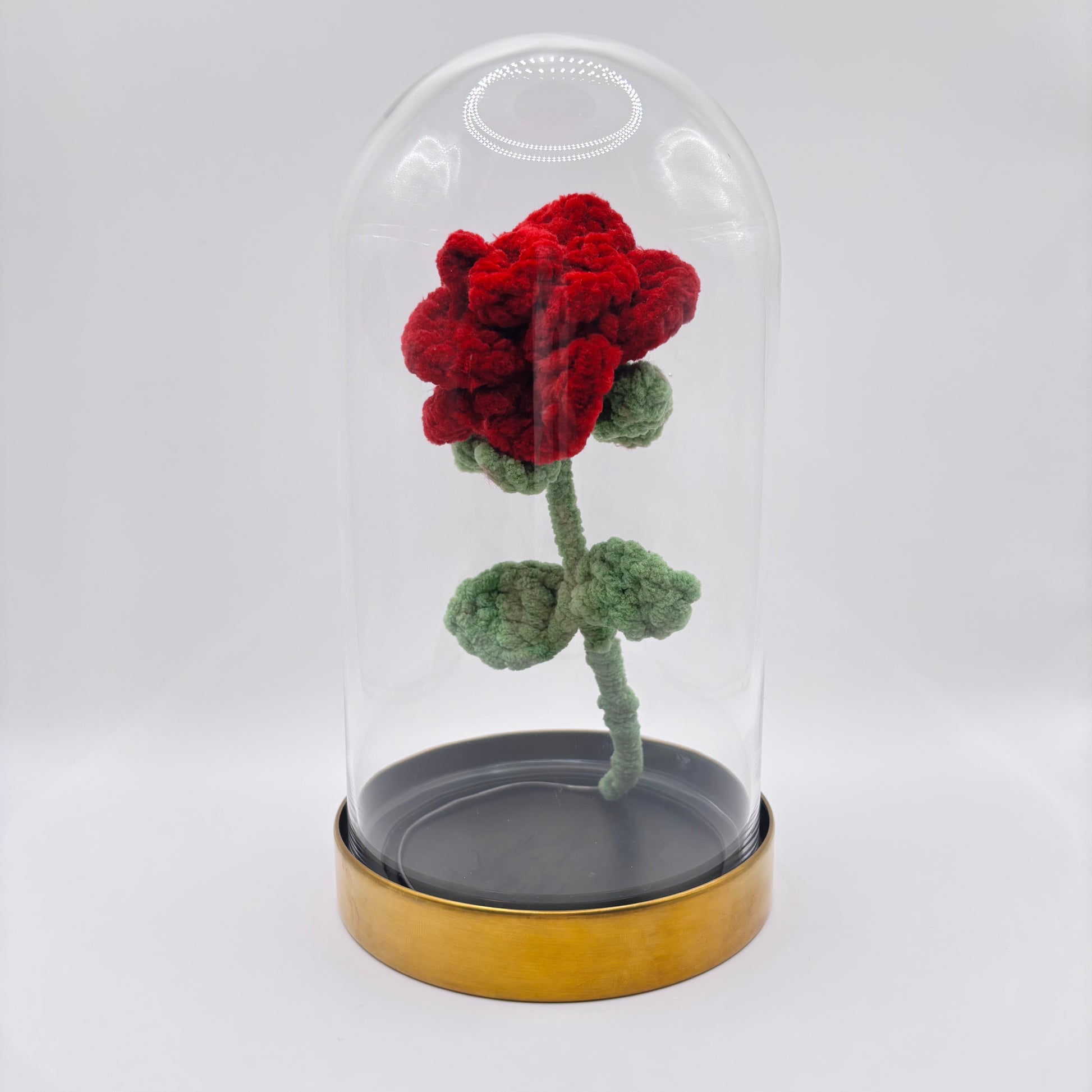 Rose sous cloche