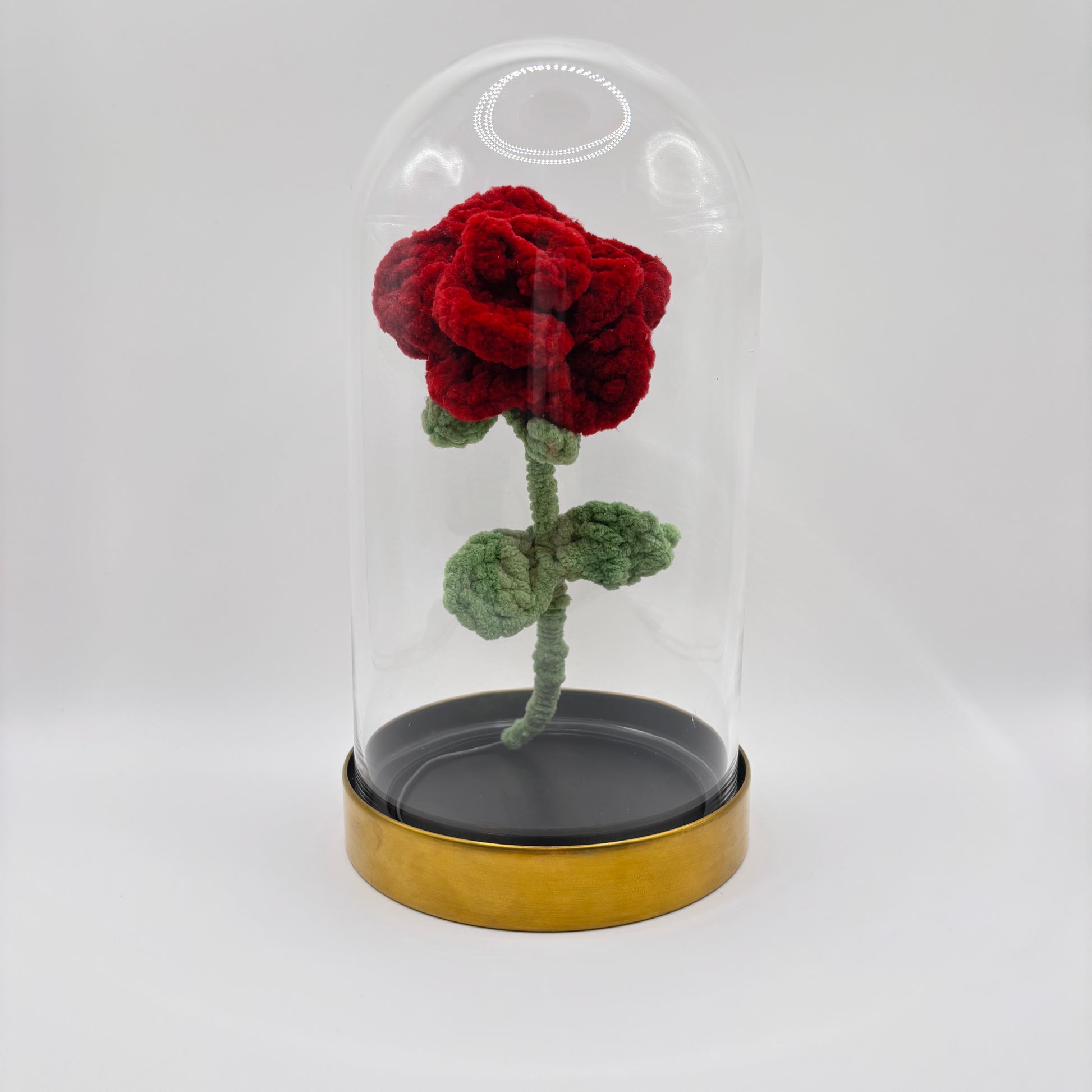 Rose sous cloche